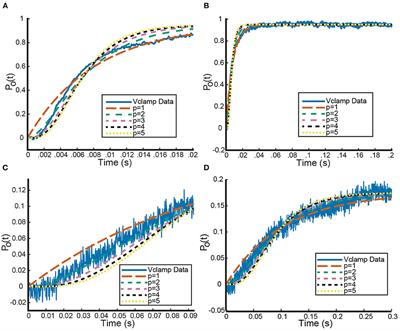 Modeling the kinetics of heteromeric potassium channels